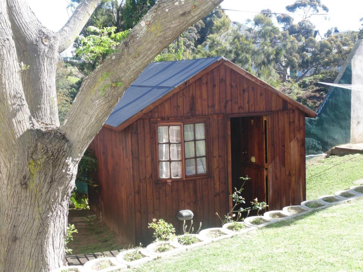 פורט אליזבת' Jikeleza Lodge מראה חיצוני תמונה
